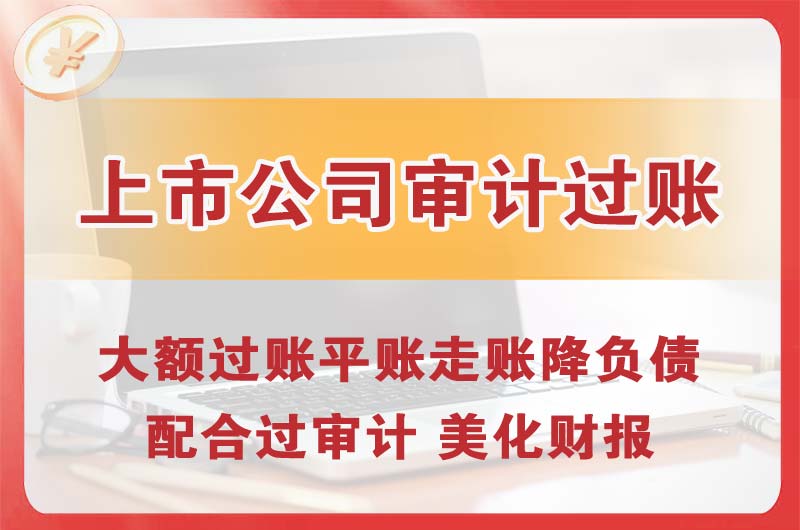 虎林上市公司审计过账